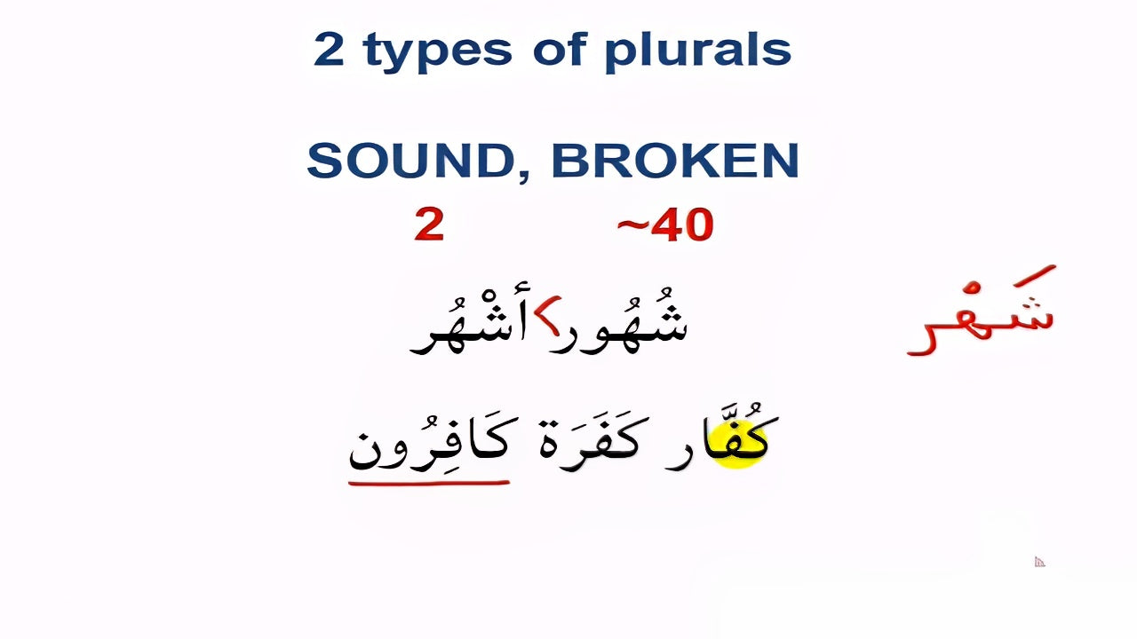 Linguistics and Quranic insights: Plurals in the Quran