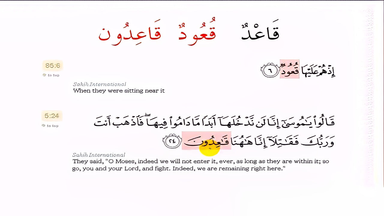 Linguistics and Quranic insights: Plurals in the Quran