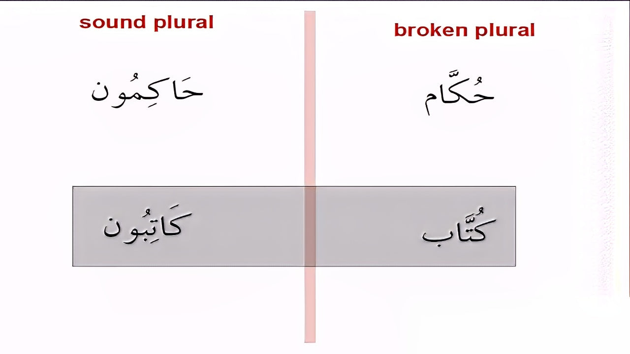 Linguistics and Quranic insights: Plurals in the Quran