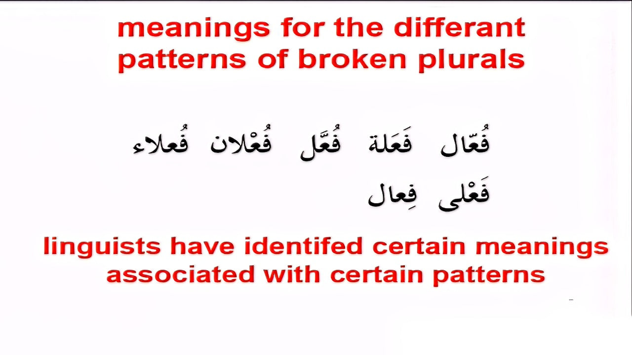 Linguistics and Quranic insights: Plurals in the Quran