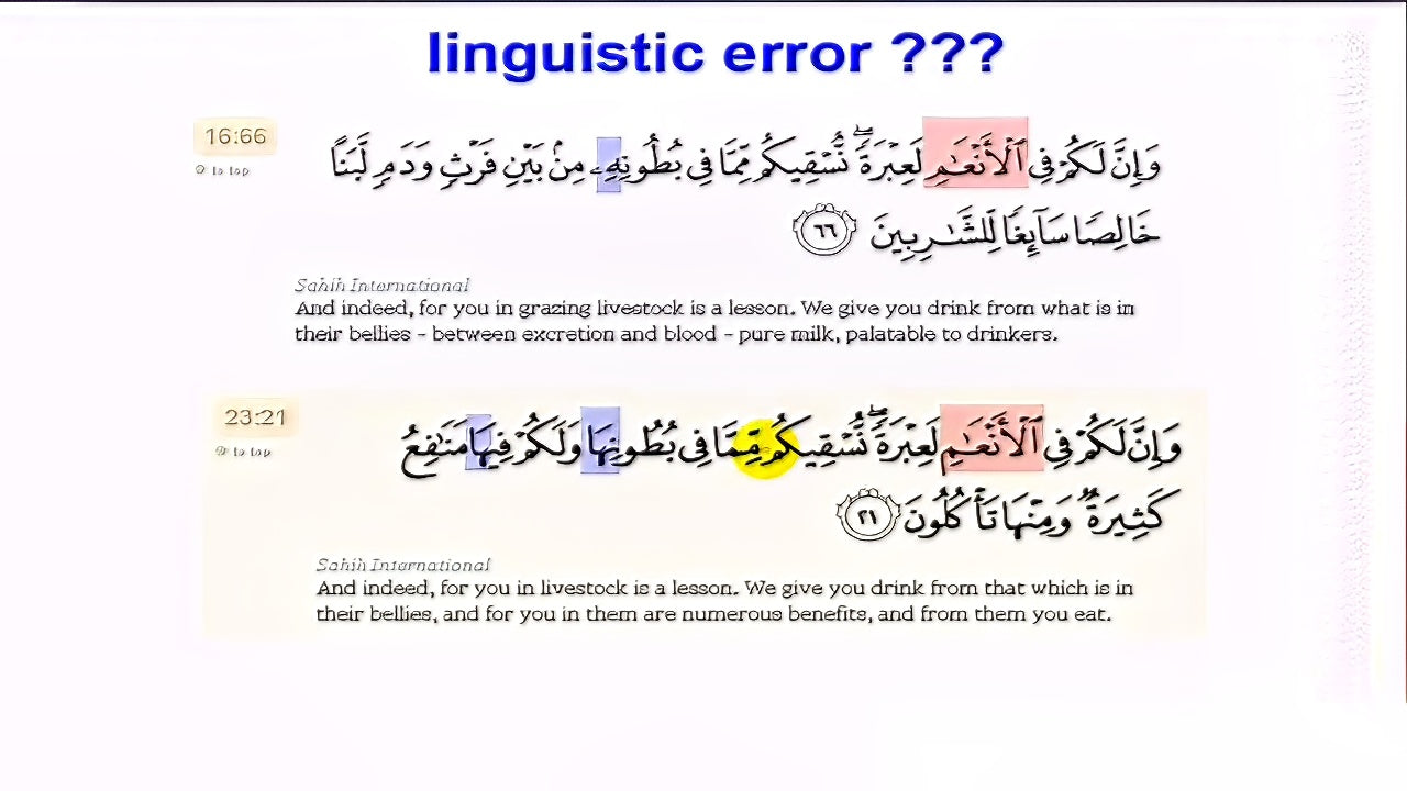 Linguistics and Quranic insights: Plurals in the Quran