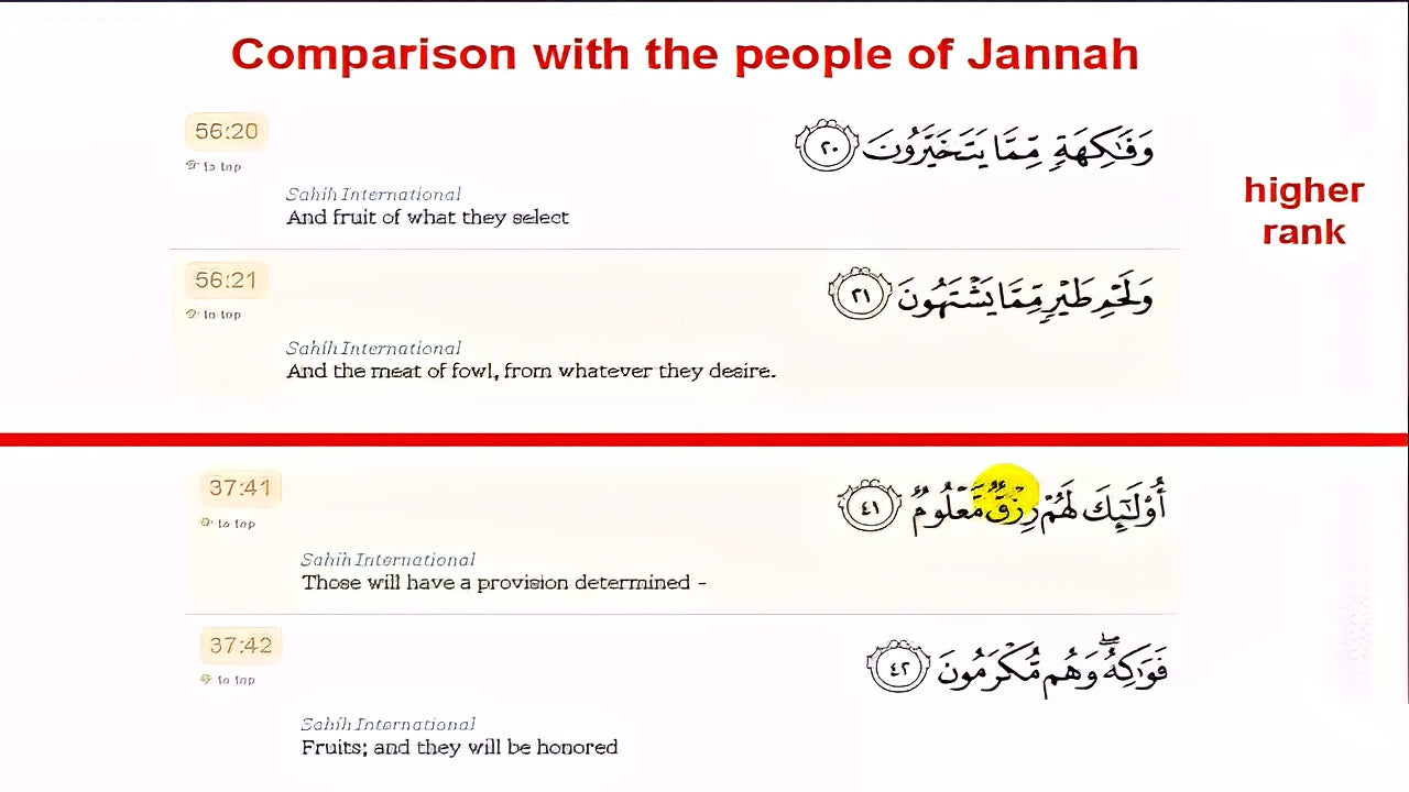 Linguistics and Quranic insights: Plurals in the Quran