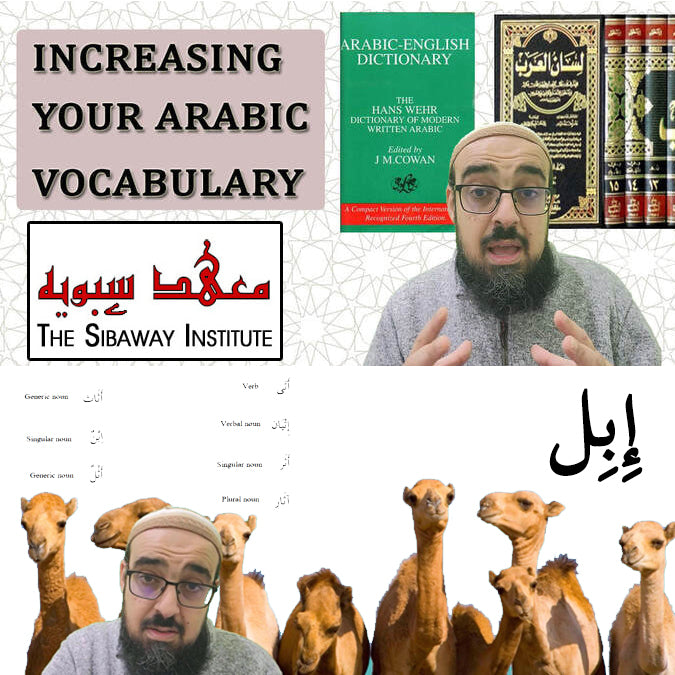 Learn Arabic Vocabulary
