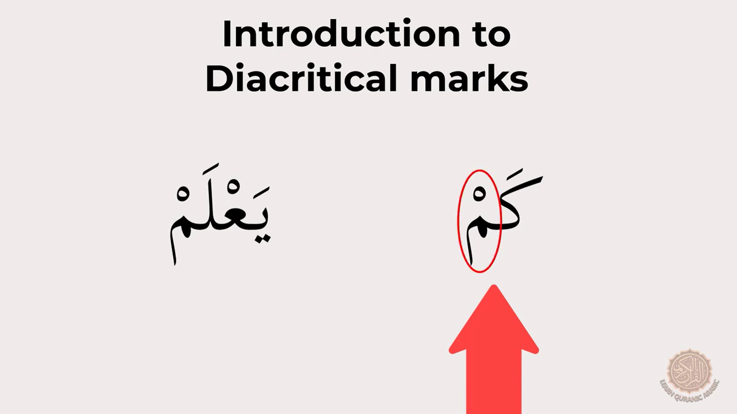 The Foundations of Arabic: Alphabet and Beyond