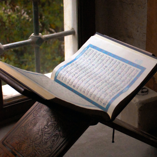 Linguistics and Quranic insights: Plurals in the Quran