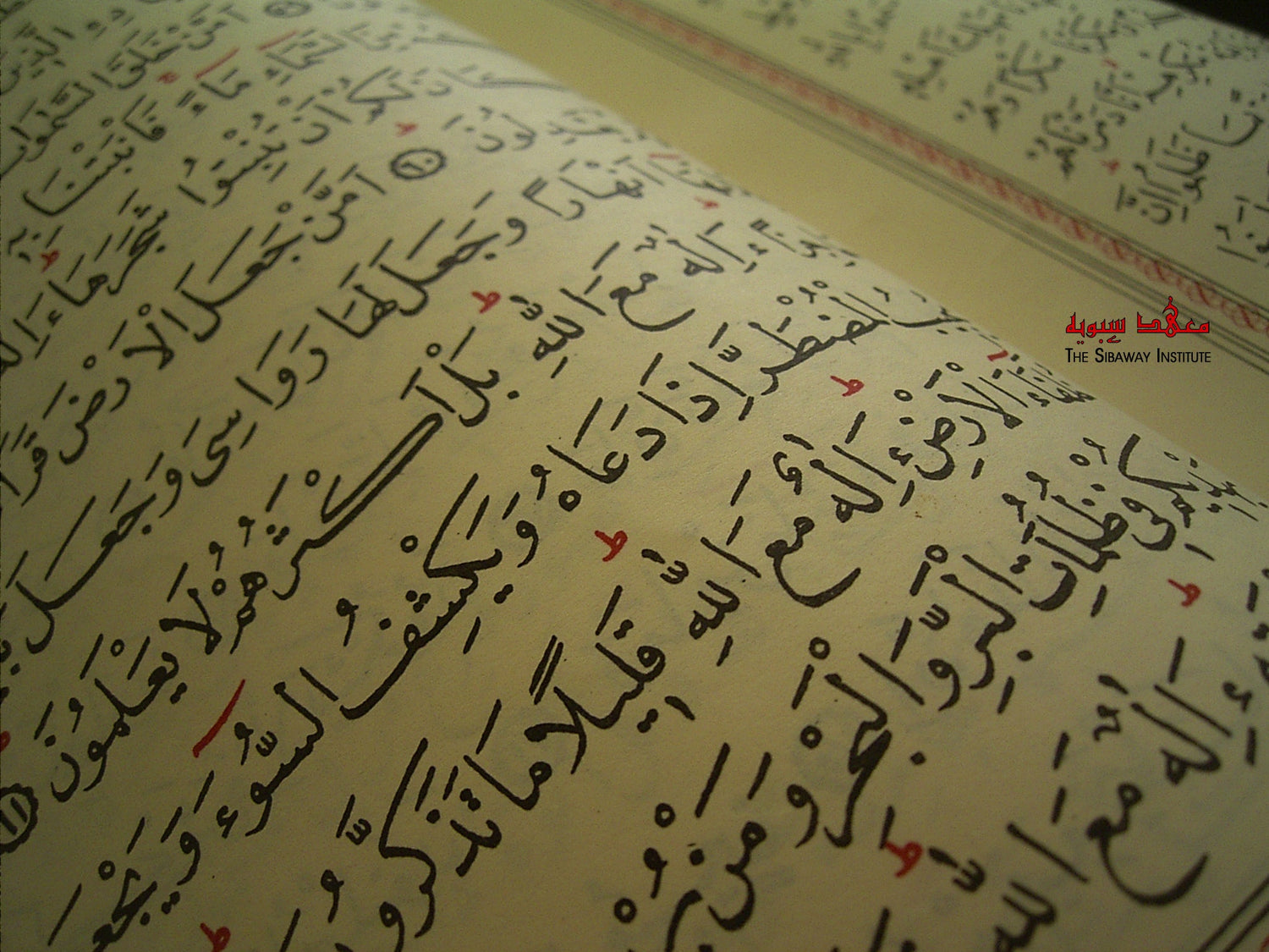 Quranic Linguistics