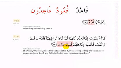 Linguistics and Quranic insights: Plurals in the Quran