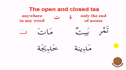 Illustration of Arabic letters 'ت' with examples of usage on a white background.