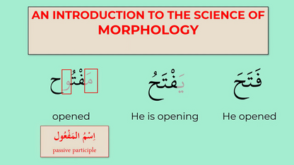 Introductory Morphology