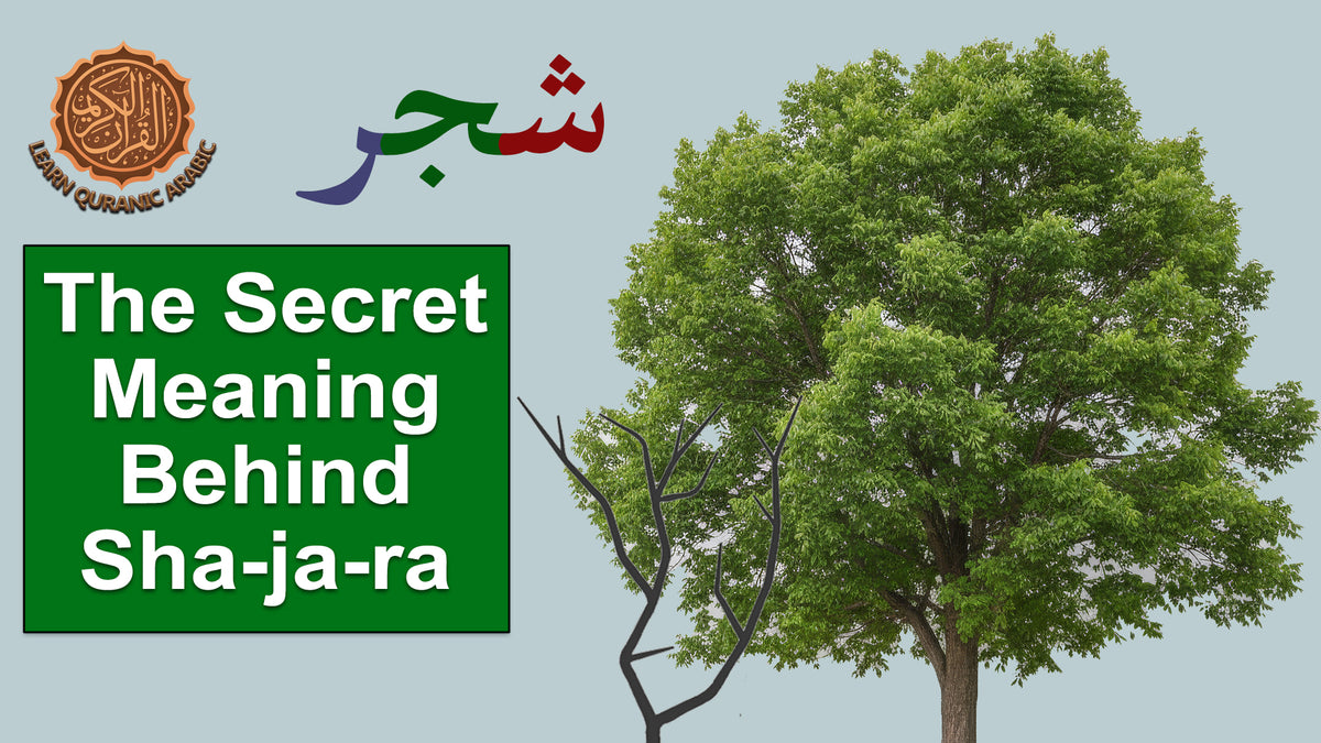 <strong>Meaning of Sha - Ja - Ra</strong>