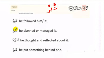 Synonyms & perfect word choice in the Quran